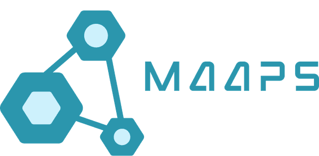 MAAPS-IT